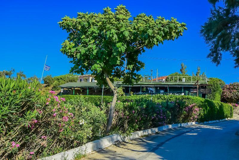 Porto Giardino Apartments Psarou  Kültér fotó
